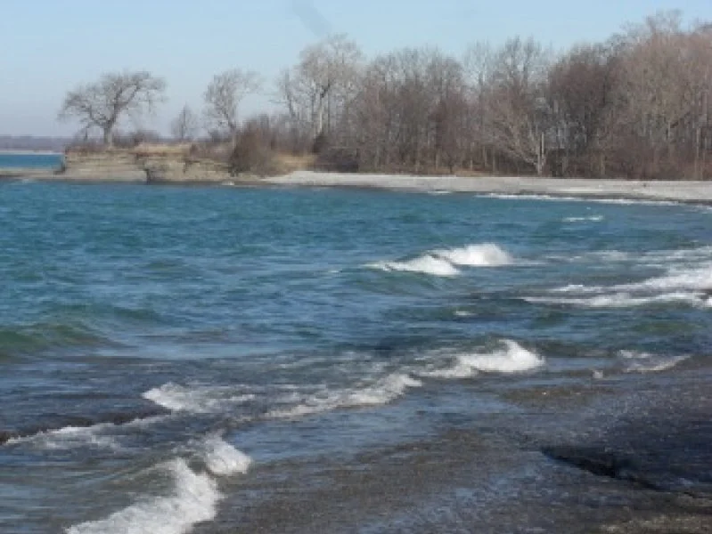 Waterfront with small waves and a background of leafless trees under a cloudy sky