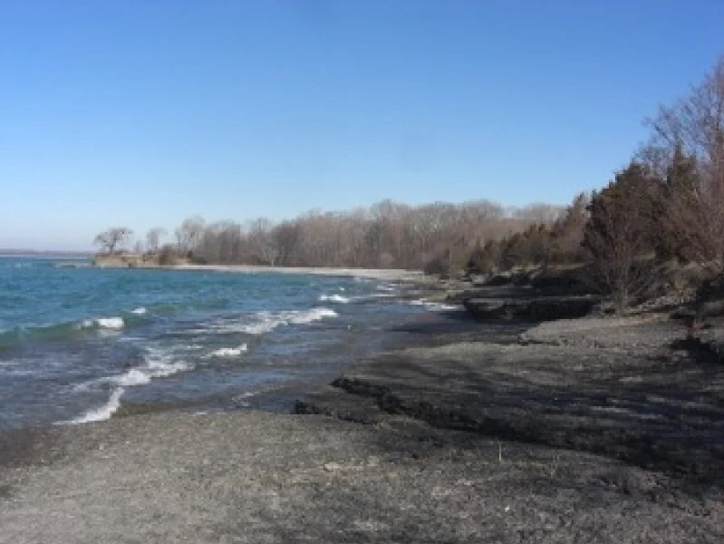 A rocky beach with waves gently lapping against the shore, and leafless trees in the background under a clear blue sky.