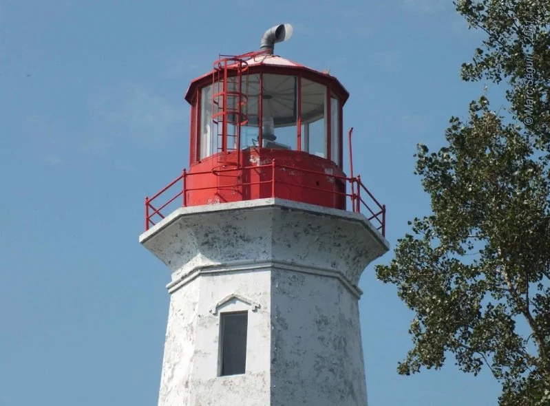 Close-up of a white lighthouse with a red top, glass windows, and surrounding red railing, next to green trees, against a blue sky.