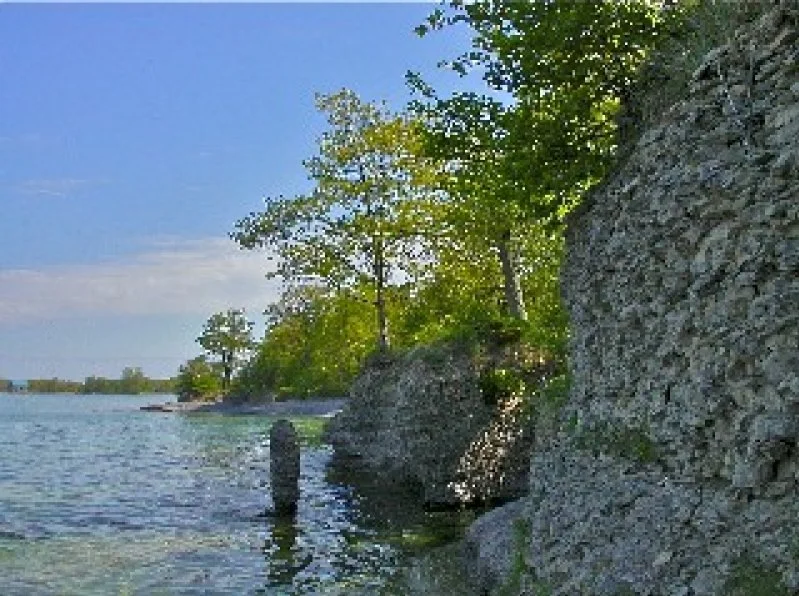 View of a lakeshore with rocks, trees, and a clear blue sky.