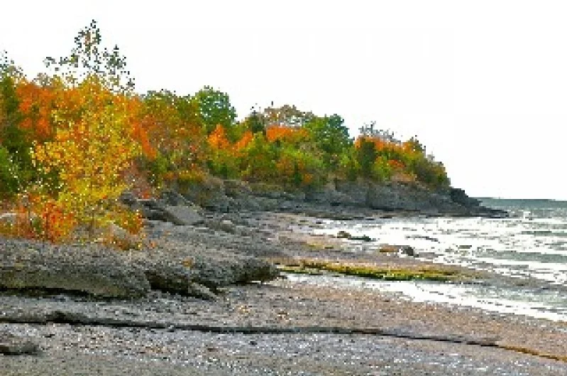 A rocky beach with trees displaying fall foliage and a body of water in the background.