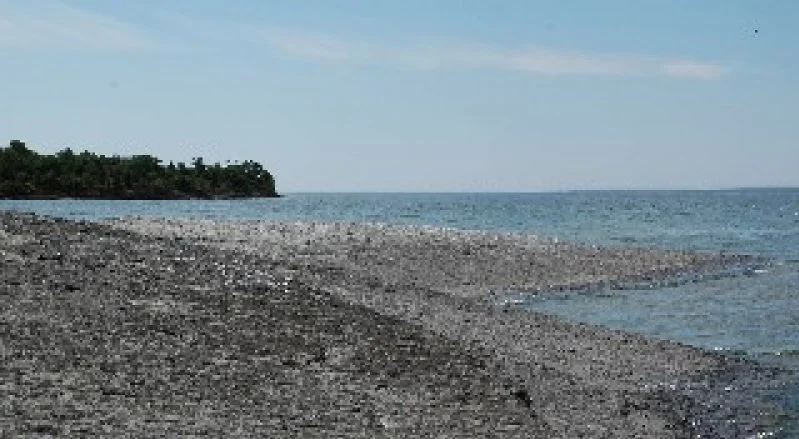 A beach with a rocky shoreline, calm water, and a forested area in the distance under a partly cloudy sky.