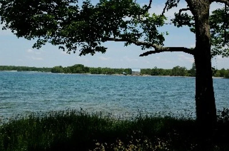 A serene lakeside scene with a large tree in the foreground and calm water extending to distant land with trees.