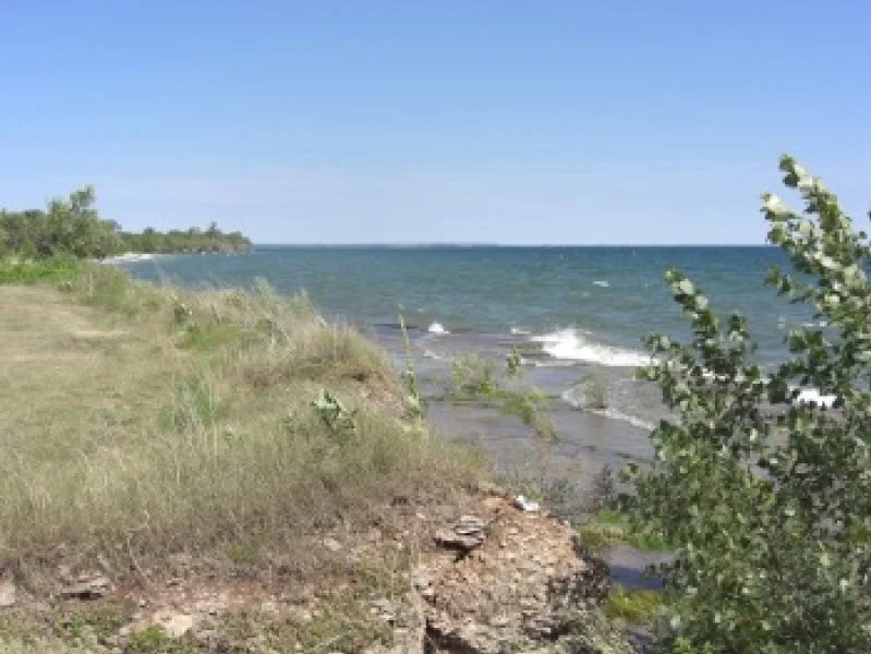 A coastal landscape with a grassy shoreline, rocks, and bushes in the foreground. The ocean extends to the horizon with gentle waves under a clear blue sky.
