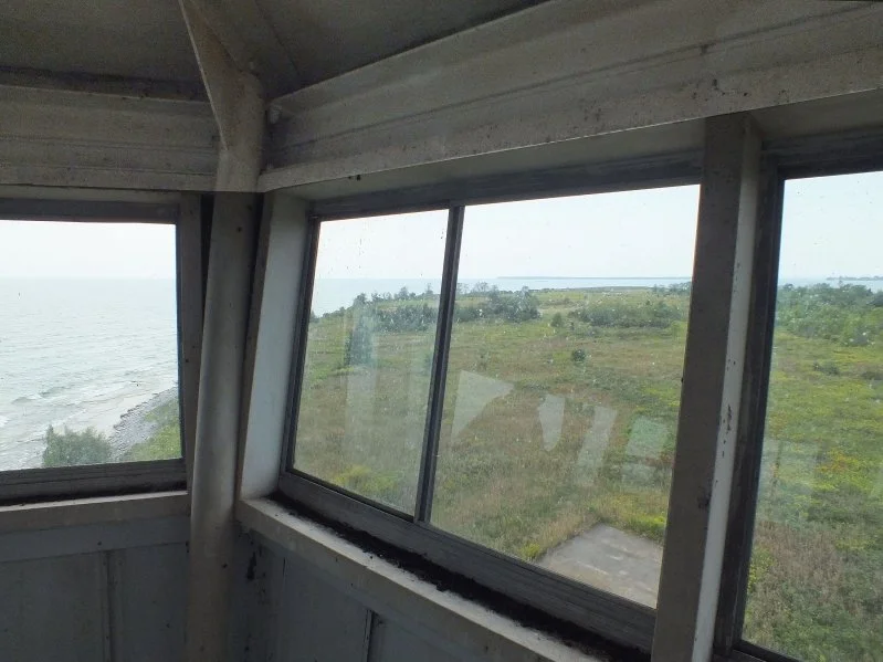 View from inside a wooden observation tower overlooking a grassy coastal area with water and shoreline in the distance.