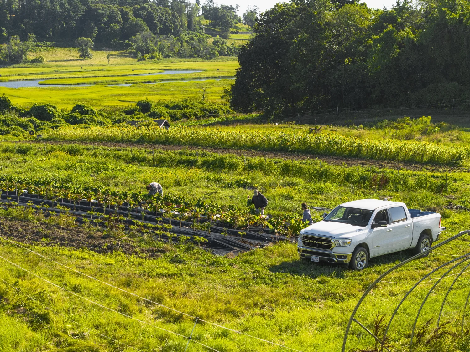 Maxmar Farm Marshview Farm