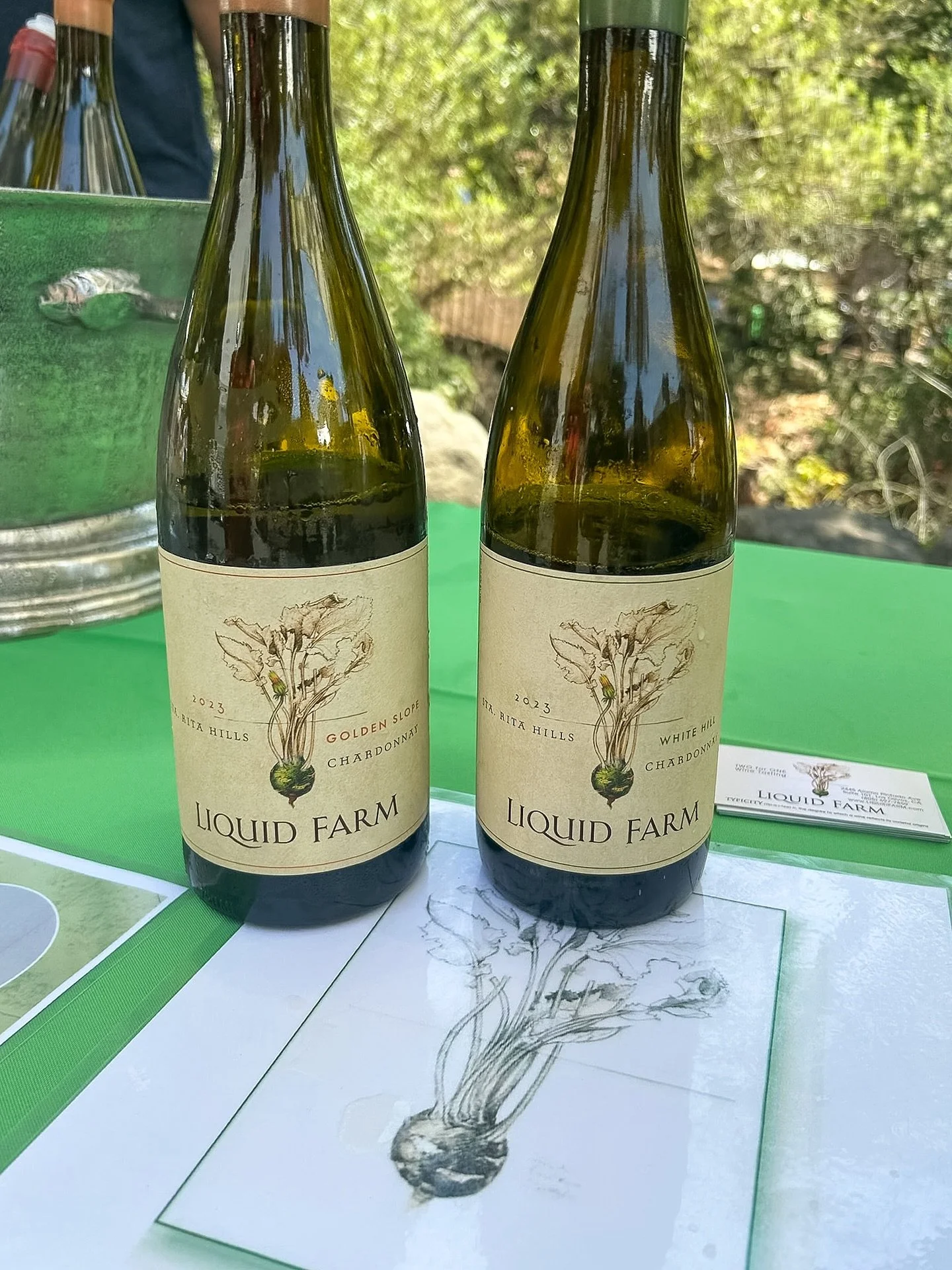 Santa Barbara has it all&mdash;local wine and bites at the annual festival, crab and sea urchin fresh from the ocean, coastal views, serene hikes, and bubbles with friends. It&rsquo;s hard not to love SB.⁠
⁠
#santabarbara #visitsantabarbara #visitcal