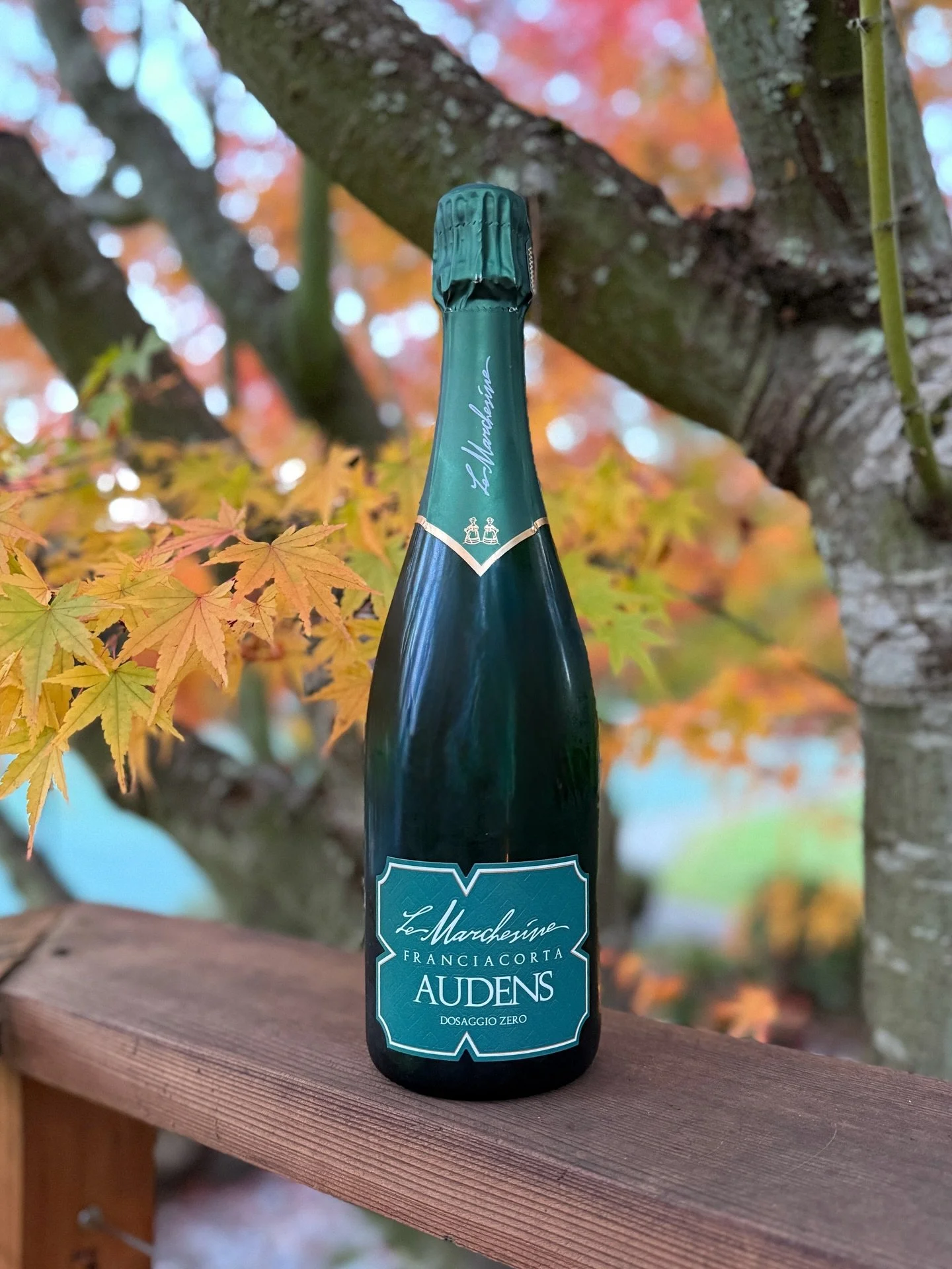 Buying wine for Thanksgiving? Bubbles and dry Riesling are two great choices that go with just about everything on the table. For high-quality bubbles that won&rsquo;t break the bank, look for Italian Franciacorta or French Cr&eacute;mant.

Find more