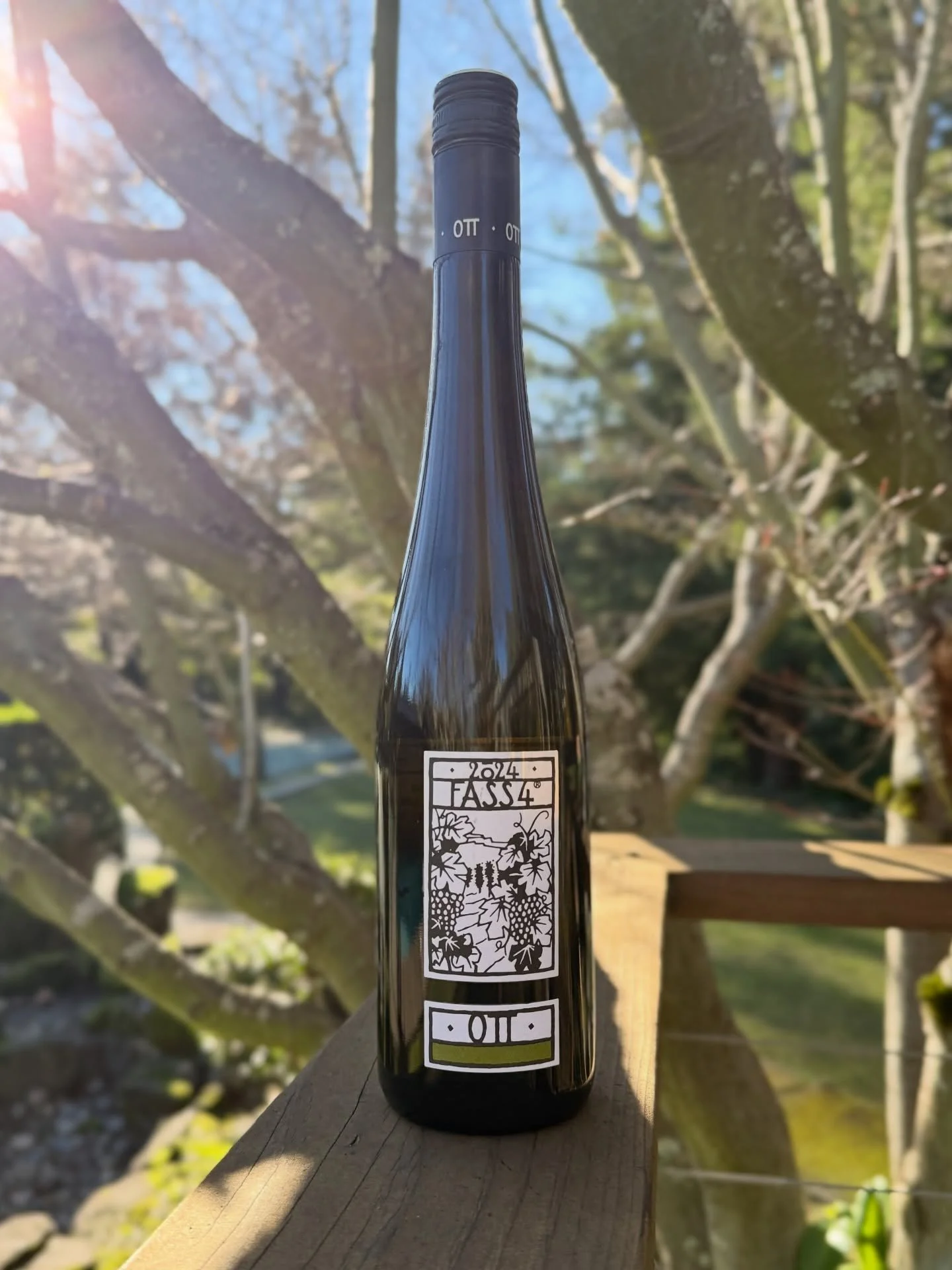 I find myself reaching for European white wines again and again. They&rsquo;re easy to drink, great with food, and the options are endless.

Austrian Gr&uuml;ner Veltliner is one I love. It&rsquo;s known for its food-friendliness, refreshing flavor, 