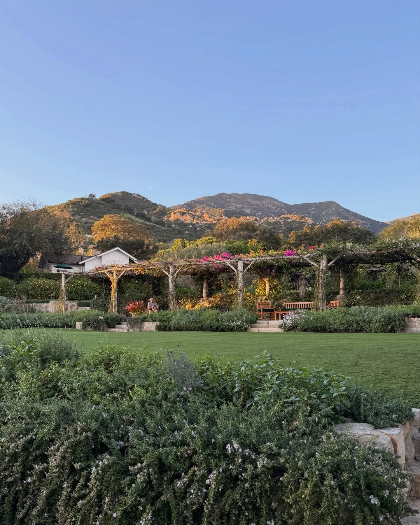 A Santa Barbara girls weekend never disappoints. I leave happy, connected, and pleasantly full of good food &amp; wine. 

A few favorites from our weekend:

@sanysidroranch - the most stunning grounds

@the_daisy_restaurant - healthy and delicious

@