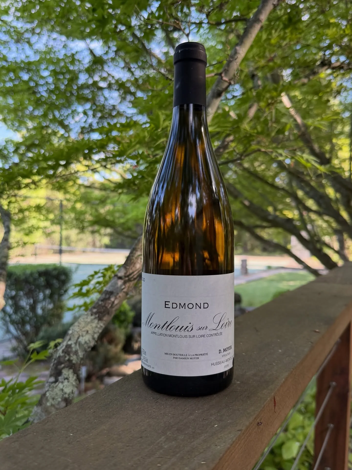 Across the Loire River, just south of Vouvray, is Montlouis-sur-Loire. This AOC produces both still and sparkling wines from 100% Chenin Blanc, ranging from dry to sweet.

Less well known than its neighbor, Montlouis often offers excellent value for 