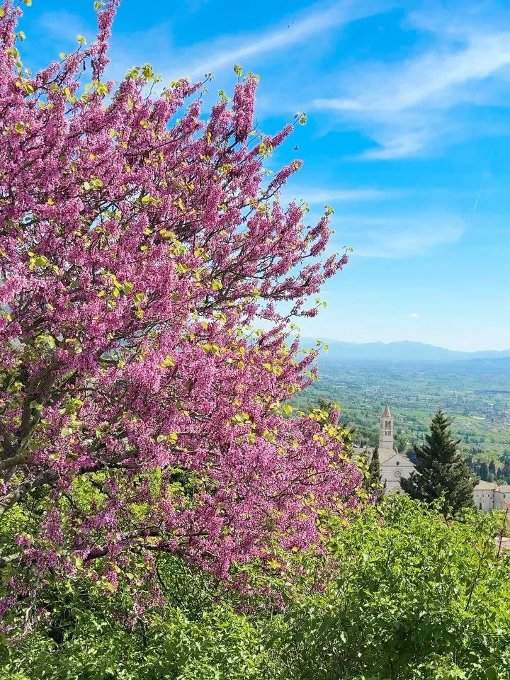 In need of a reset? Try Umbria. 

#umbria #slowtravelitaly #beautifulitaly