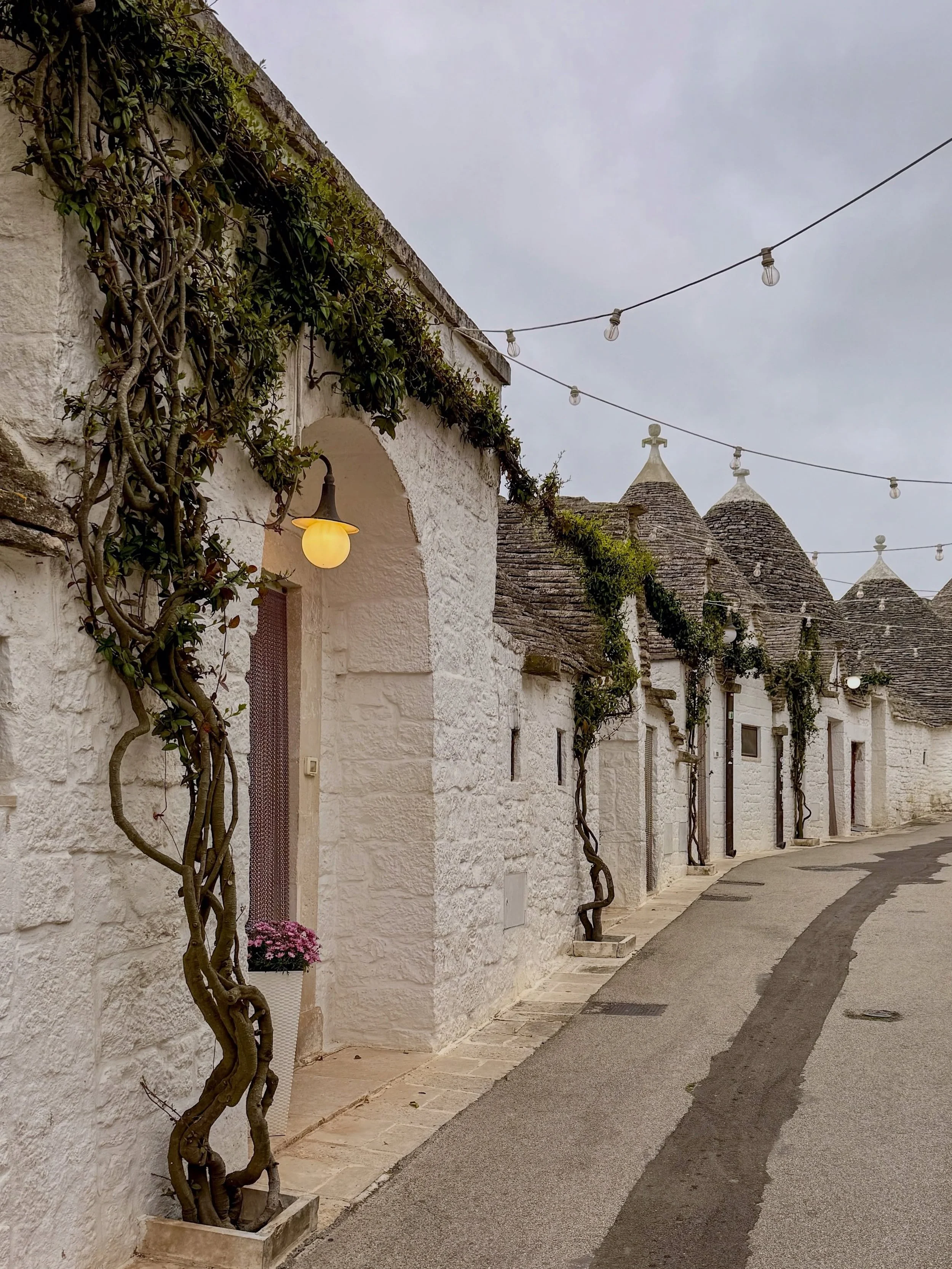 Even on a grey day, Alberobello is worth the trip. There's something about wandering street after street of ancient trulli that's just truly magical.

We stopped by @oliointini, a local olive oil and wine producer, and ended up getting a full history