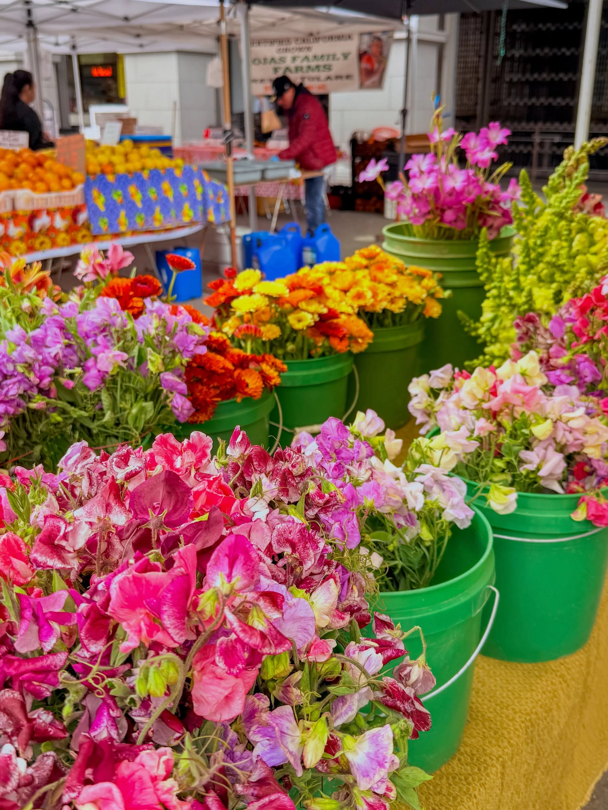 There's nothing like spending Saturday morning at the @sfferrybuilding farmers market. 

Flowers, rainbow carrots, fresh herbs, baked goods - all in the perfect setting along the Bay. ☀️

#sfferrybuilding #sffarmersmarket #lovesanfrancisco #farmersma