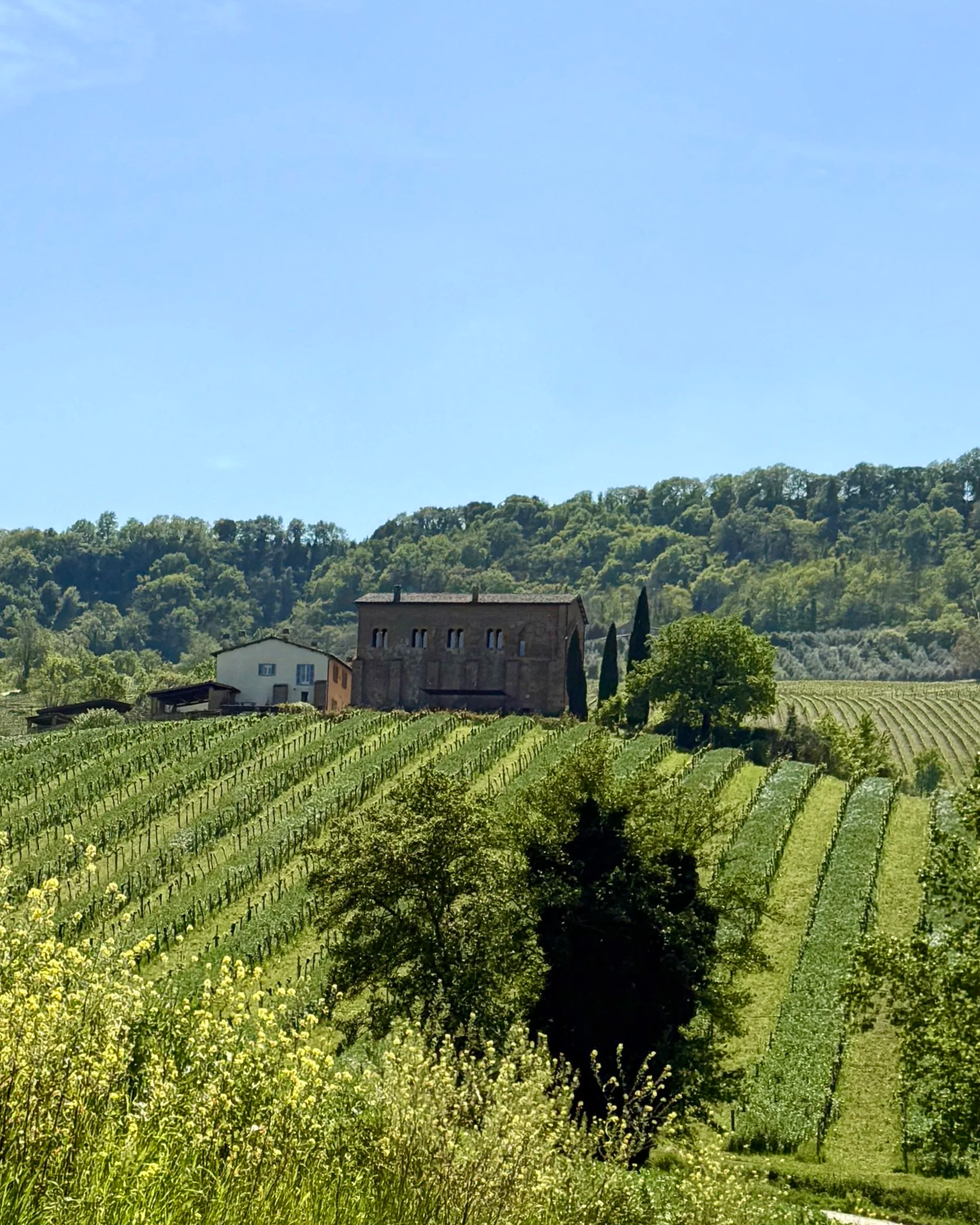 A Visit to Palazzone in Umbria to Discover Orvieto Wine