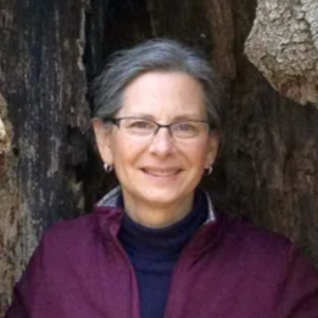 Mary Alice Mastrovito
