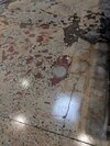 The original concrete ground–now polished and sealed