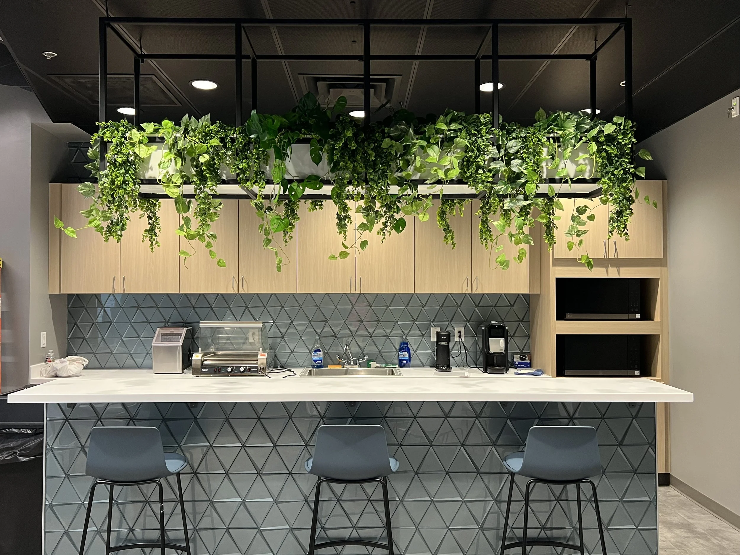 Faux Plants hanging from the ceiling at Antech Dignostics in Dallas, TX. Indianapolis plant service.