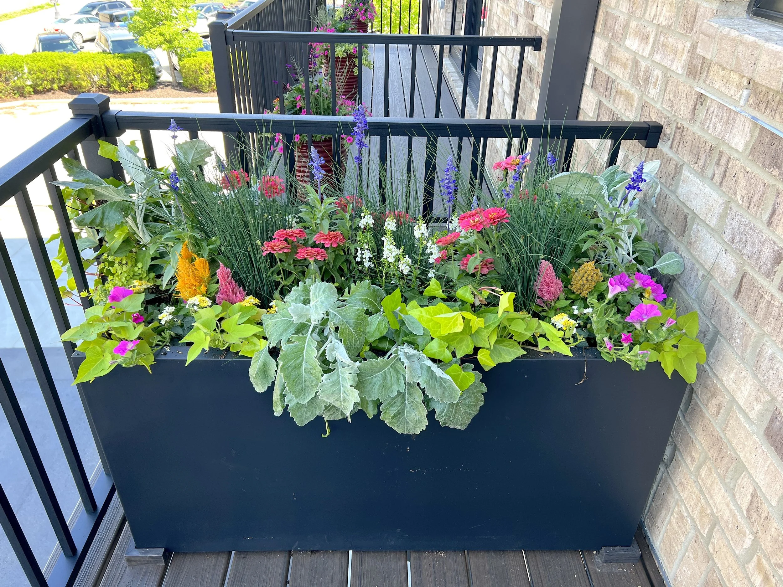 Summer plants and summer flowers arranged in a summer planter in a black rectangle planter.