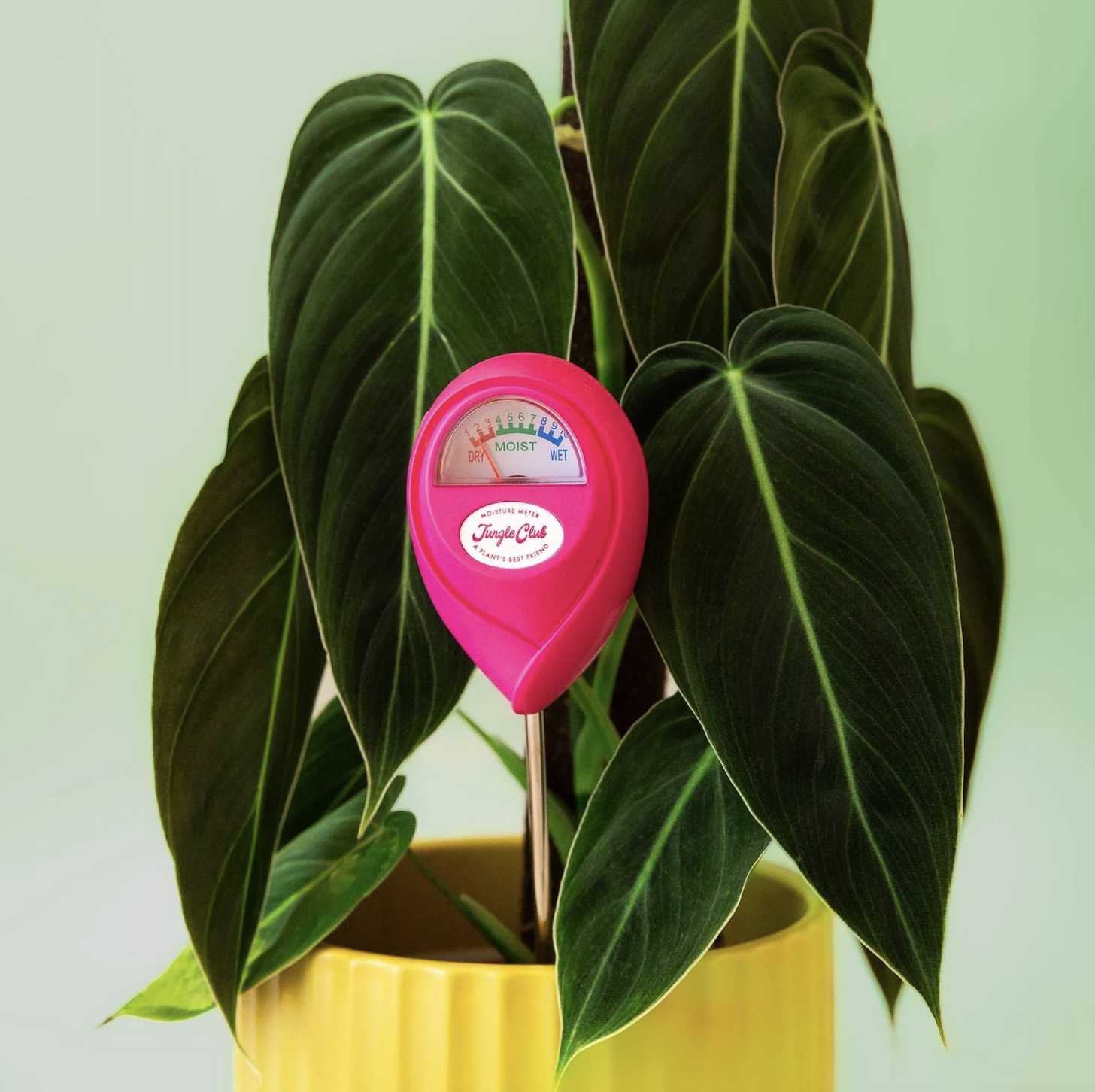 Hot Pink Moisture Meter used to measure how wet a plant is.