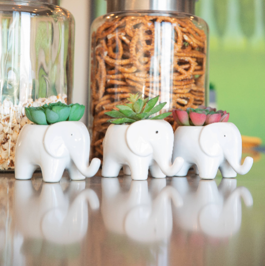 ElephantPlanter.png