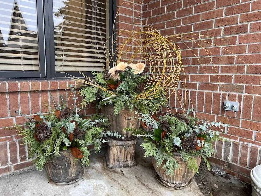 Neutral Accents in Christmas Planters outside of office.
