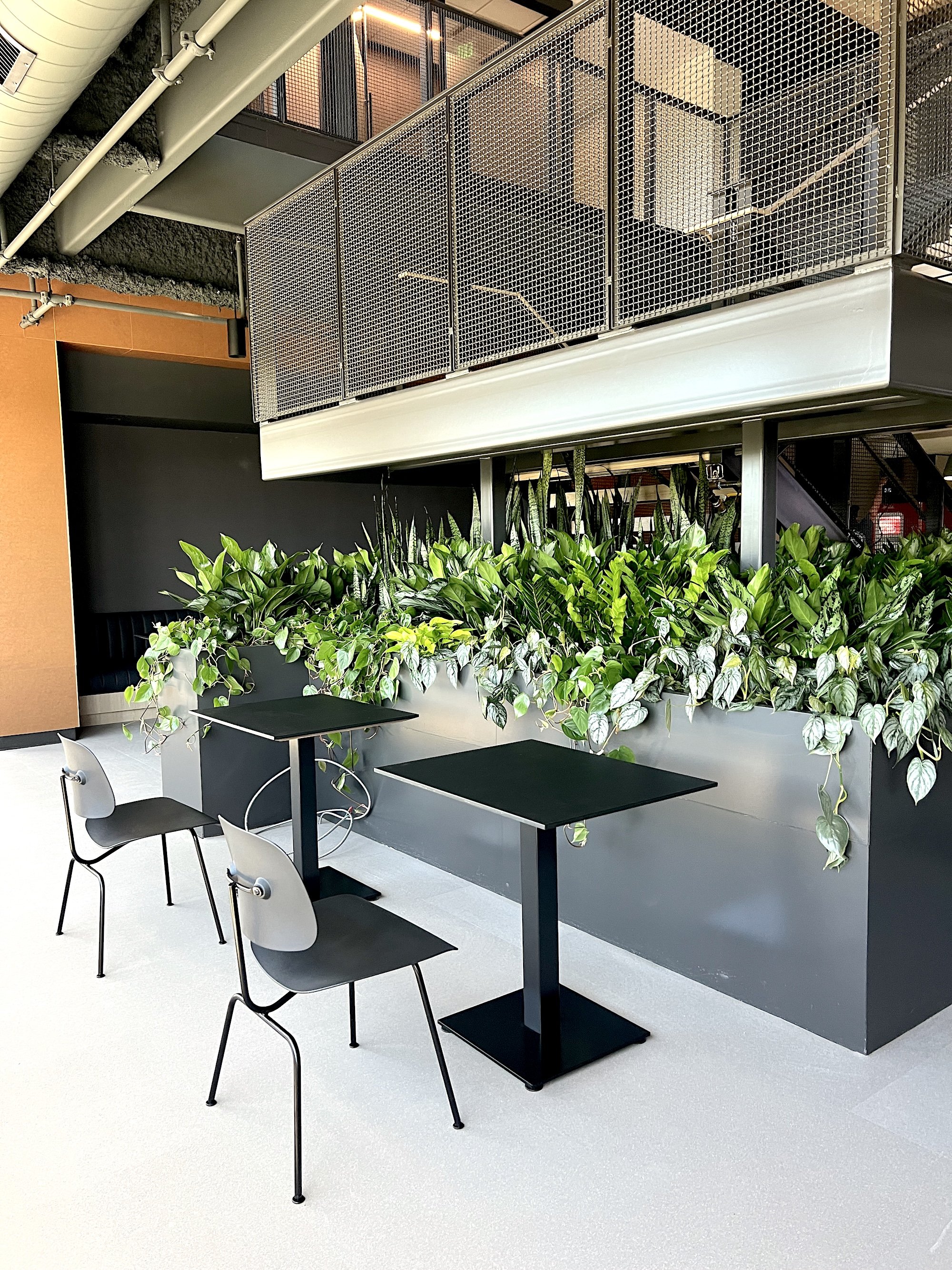 Indoor office plants in Indianapolis, IN. Carmel live plant service.