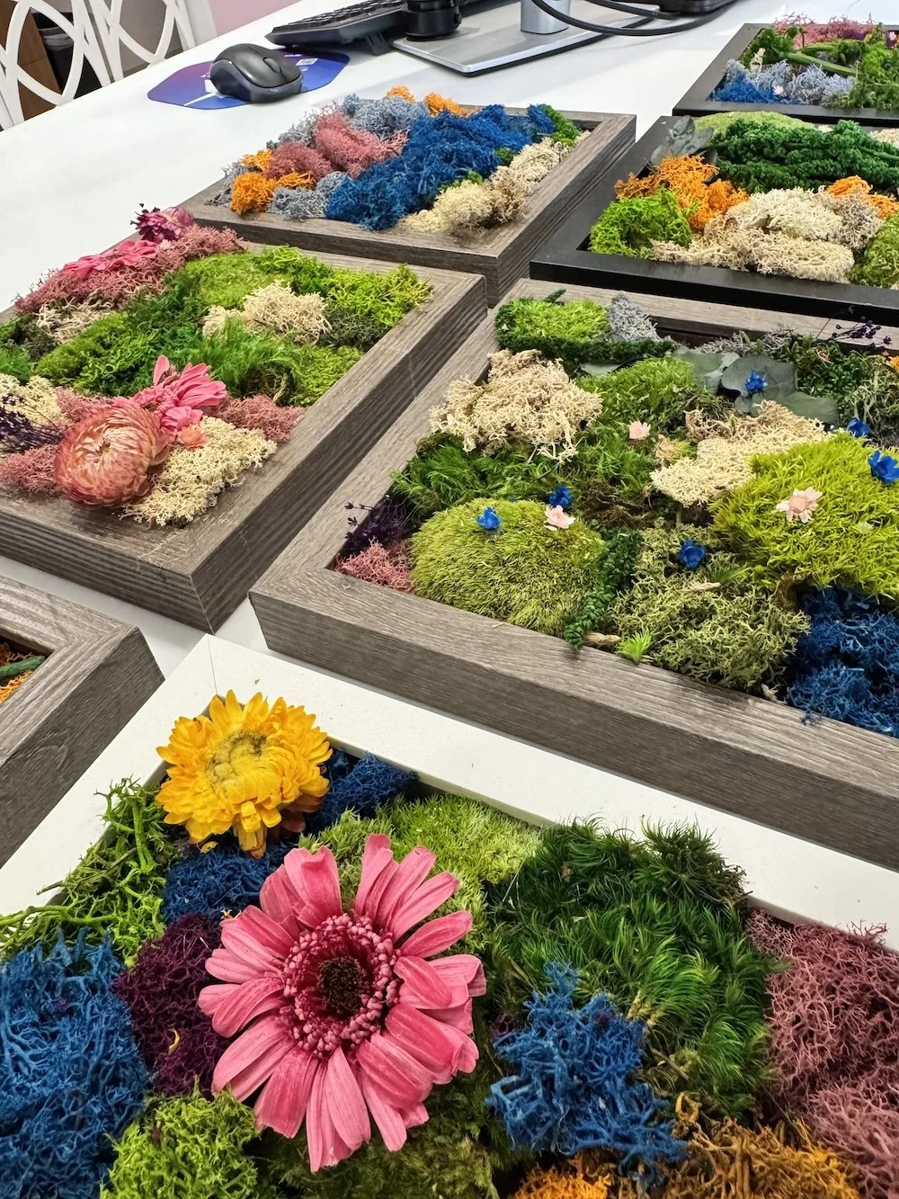 Moss Art creations from participants in Naturspire's Moss Workshop in Carmel, Indiana