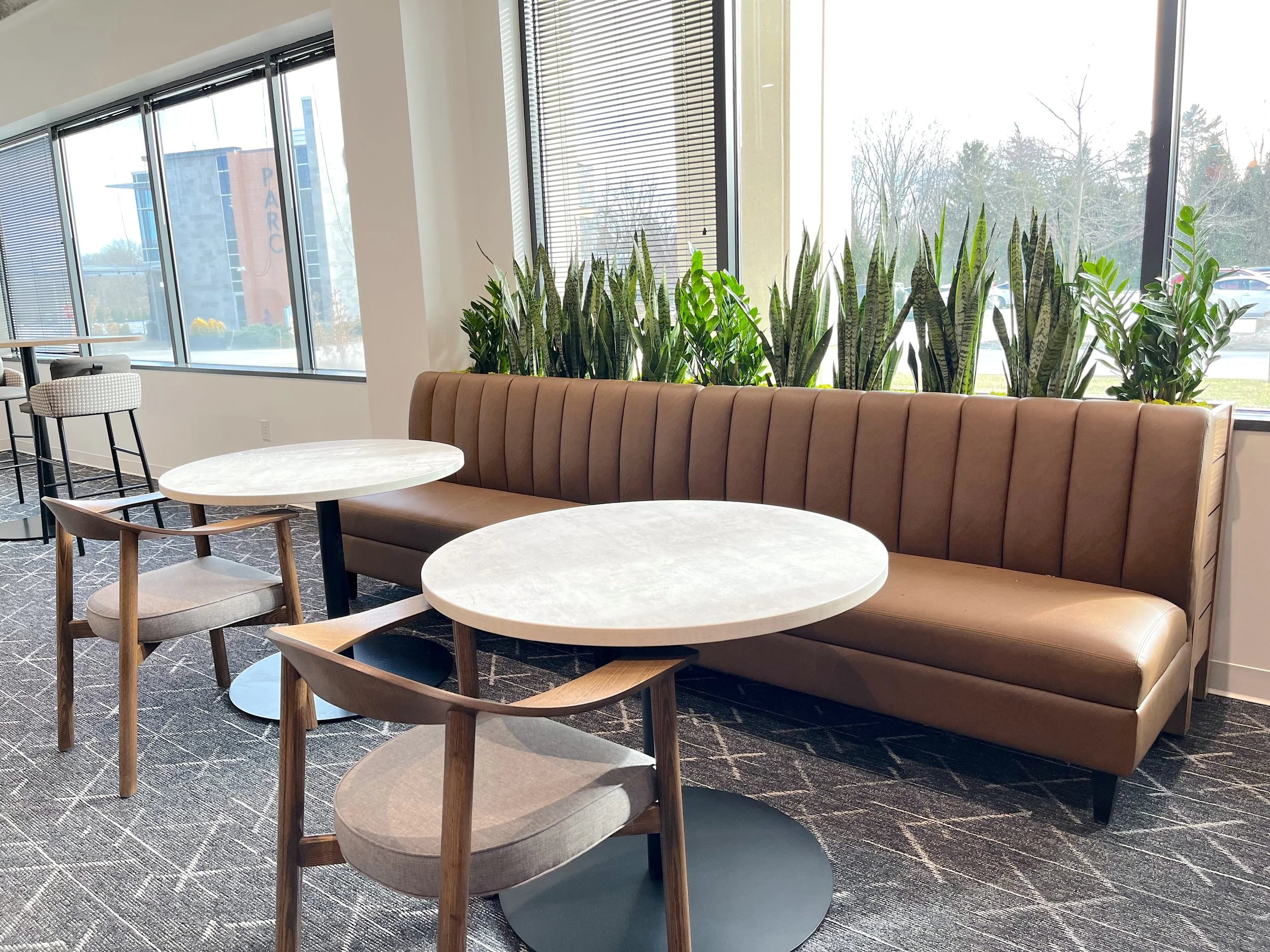 Evan's May Indoor Plants in Indianapolis, IN