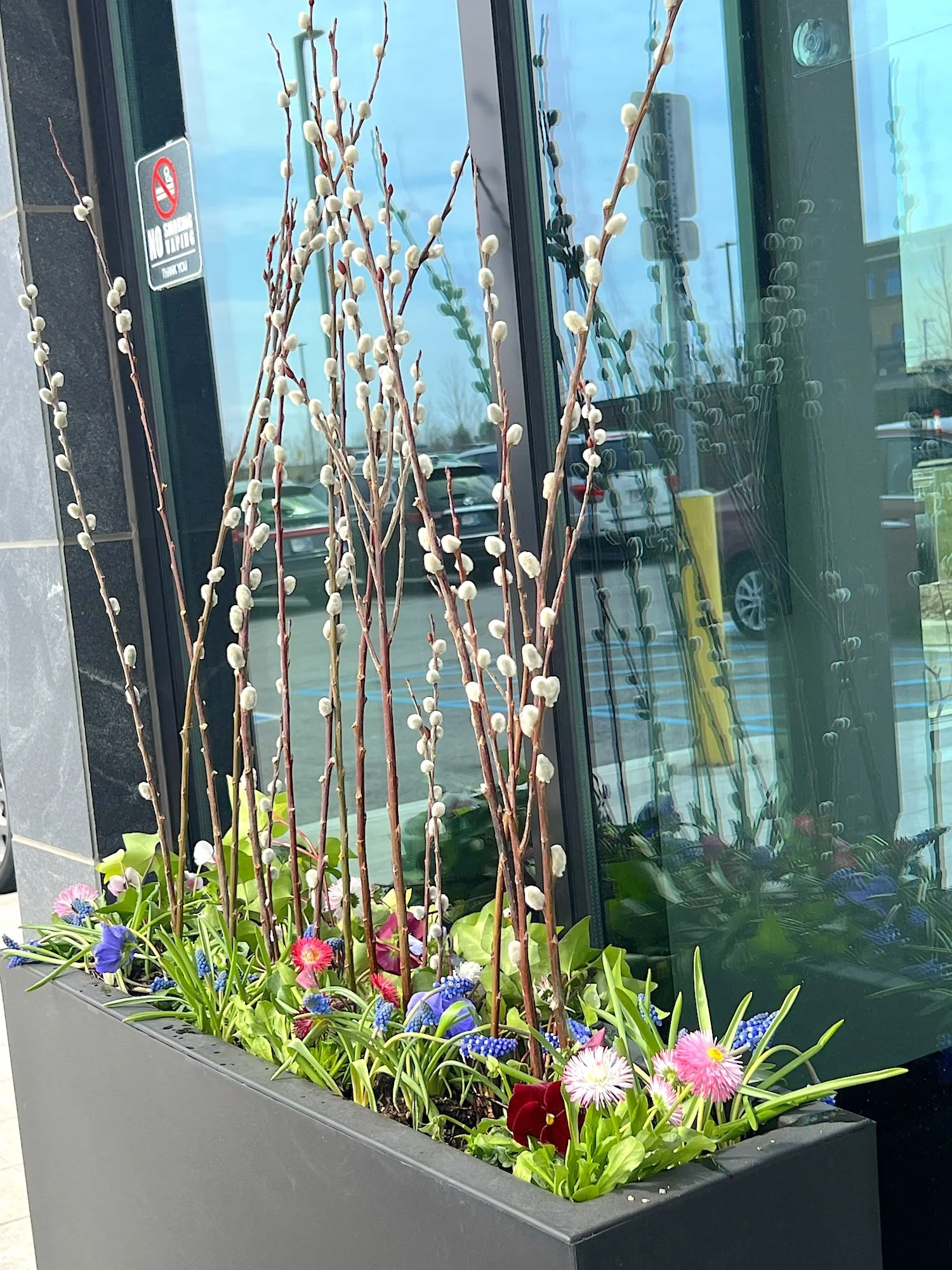Spring planters filled with pussy willow, pansy, daisy, hyacinth, and other colorful spring plants at Westfield Washington Township.
