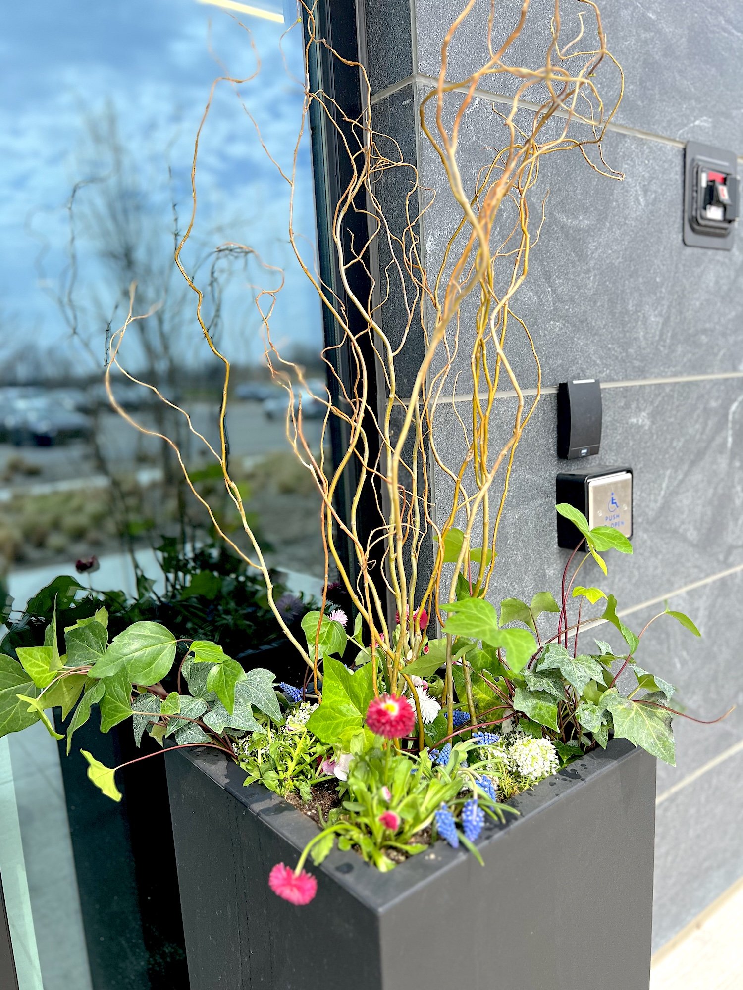 Fresh, vibrant spring planters overflowing with spring blooms and lush greenery at Westfield Washington Township in Westfield, Indiana. These professionally designed outdoor planters feature a mix of colorful flowers, textured foliage, and natural el