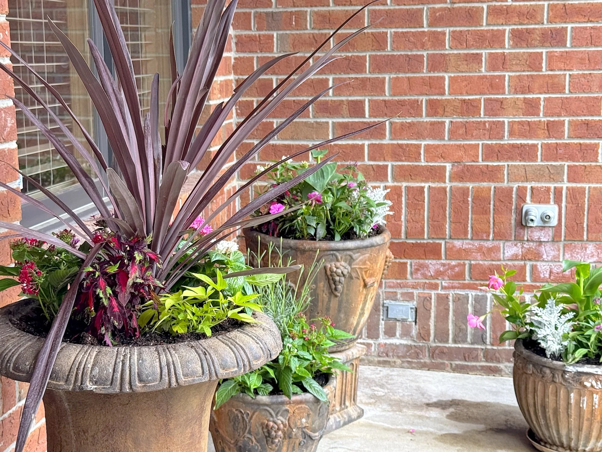 Elegant summer planters designed and installed by Naturspire for Michele Finley’s office in Carmel, Indiana. Rich burgundy spike plants create dramatic height and texture, complemented by vibrant seasonal blooms and cascading greenery in classic ston