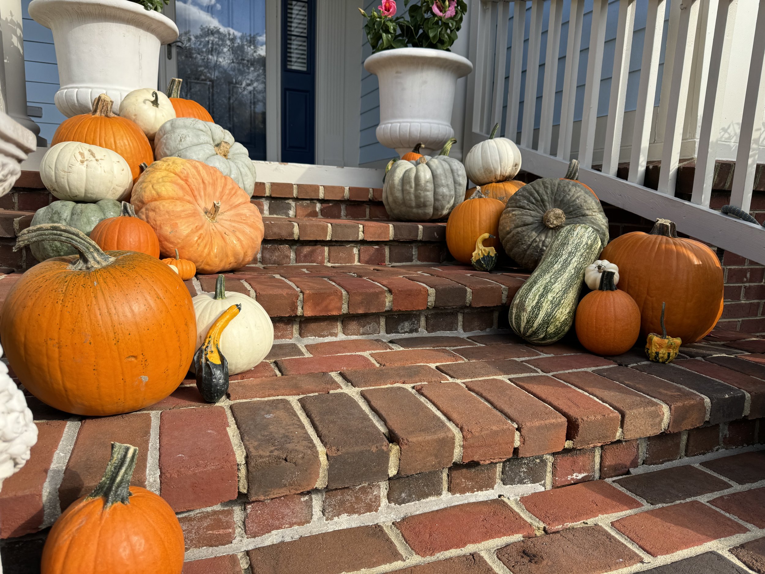 Pumpkins arranged on the steps in Carmel, IN