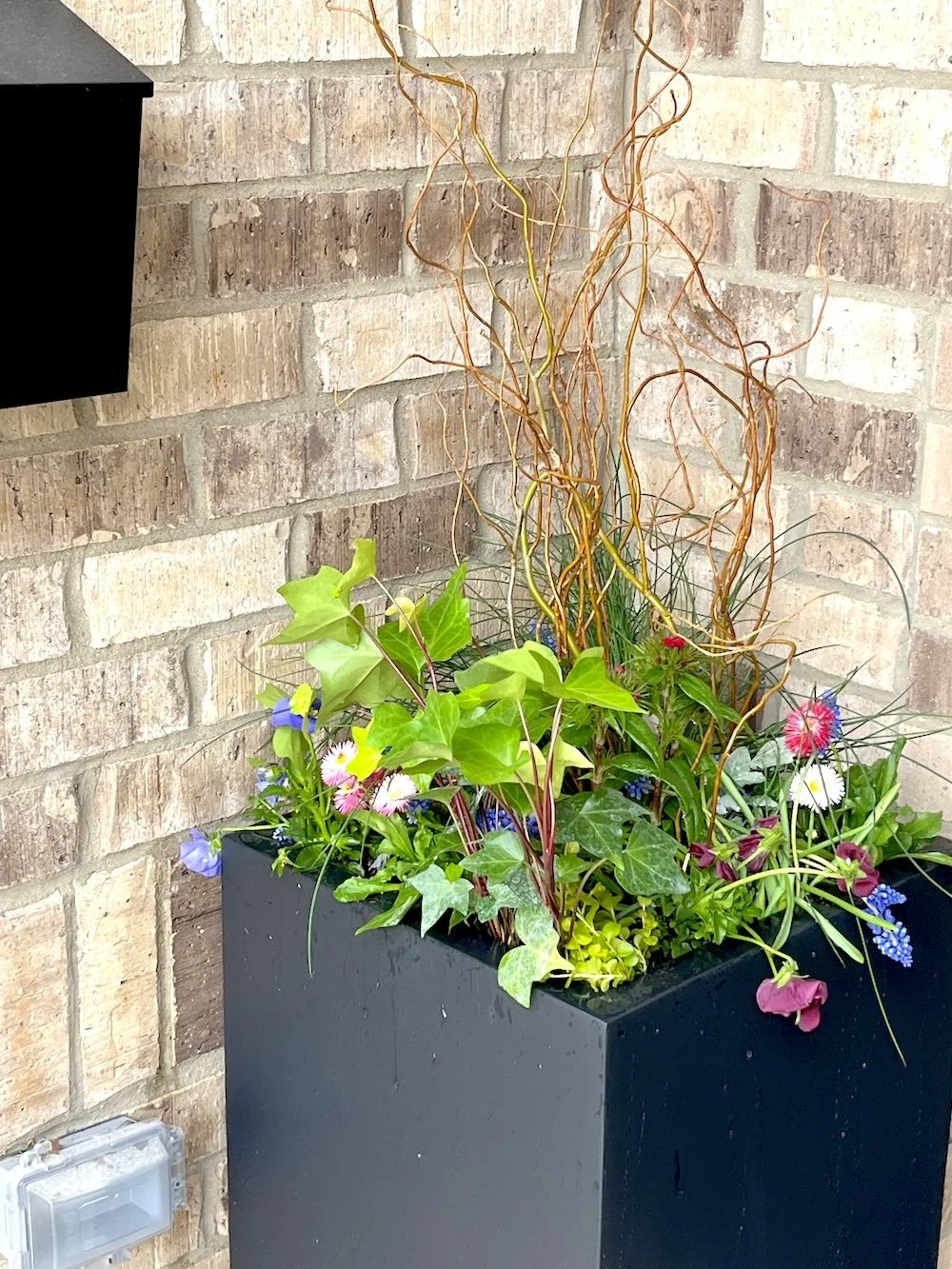 Spring planters. Spring porch pots. Mix of spring colors in square planter.