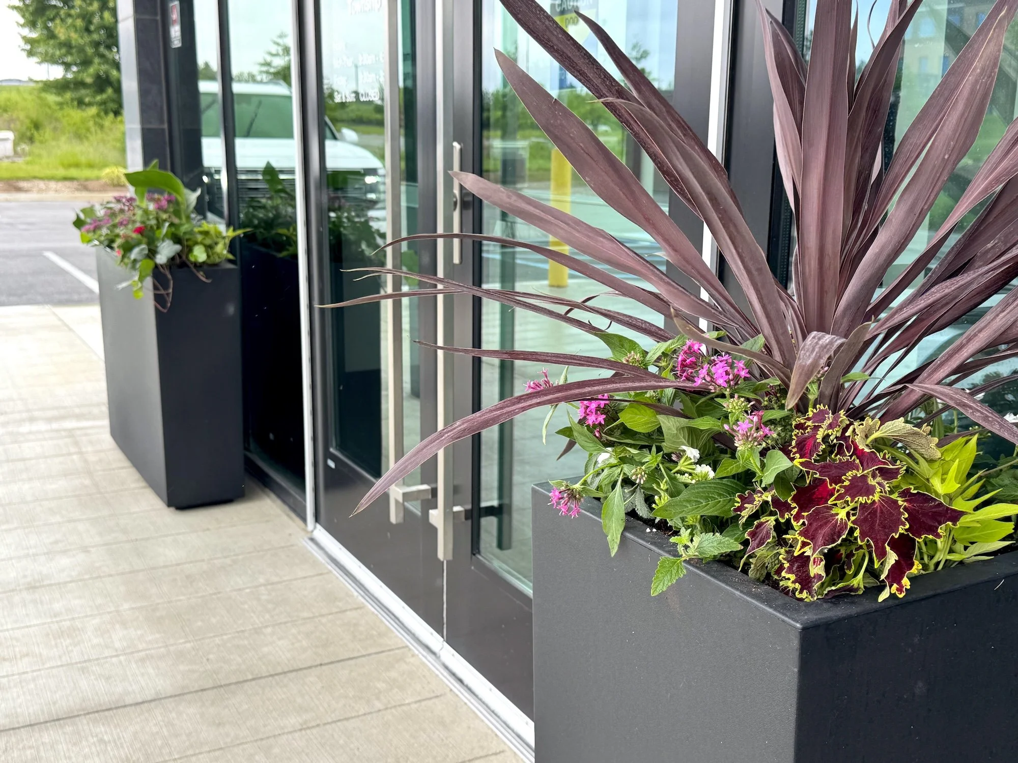 Modern summer planters designed by Naturspire for Westfield Washington Township, featuring bold burgundy foliage, vibrant seasonal blooms, and lush greenery in sleek contemporary containers. These welcoming entry displays bring color, texture, and cu