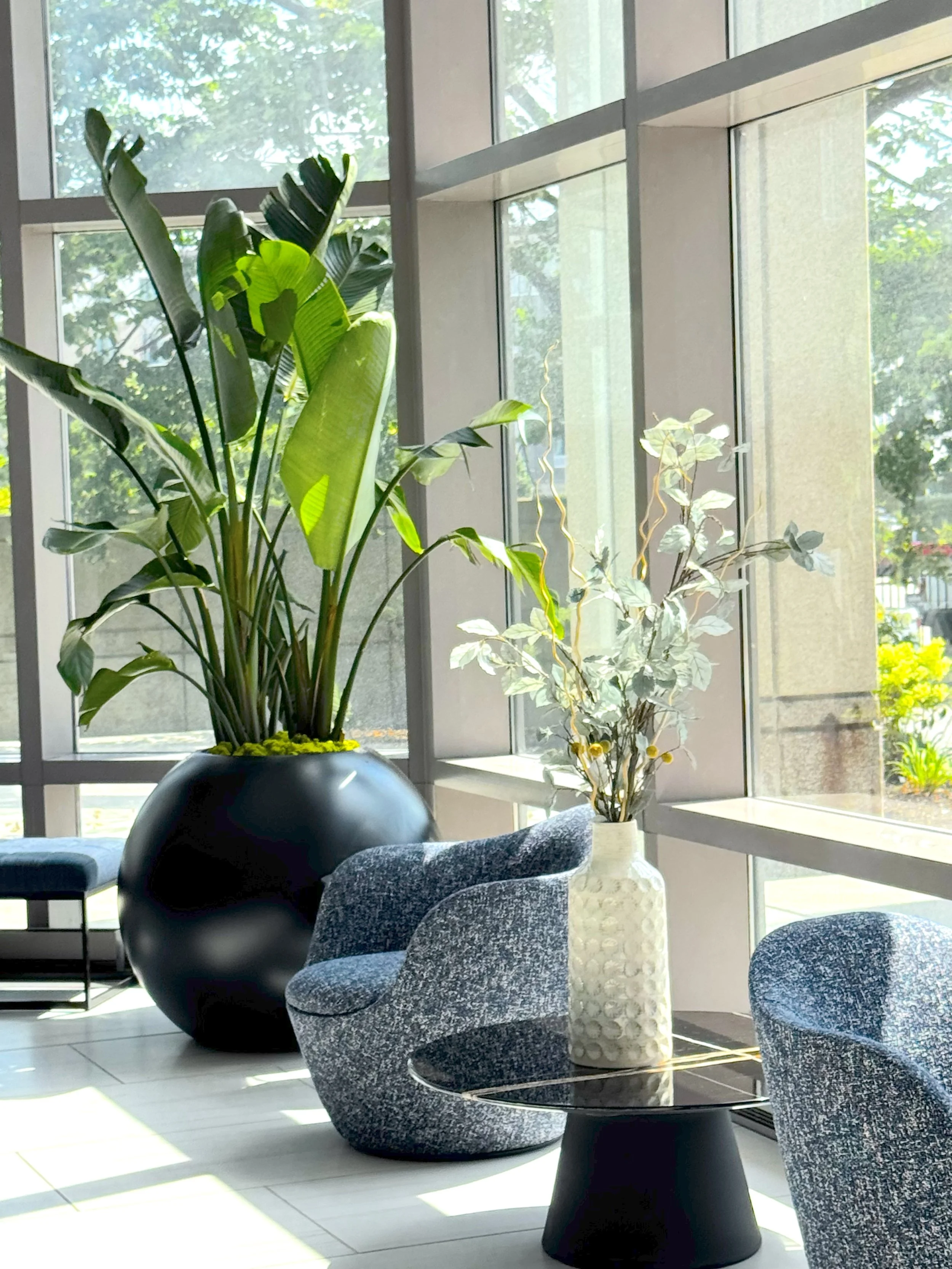 Bird of Paradise located at 8888 Keystone in Indianapolis, IN