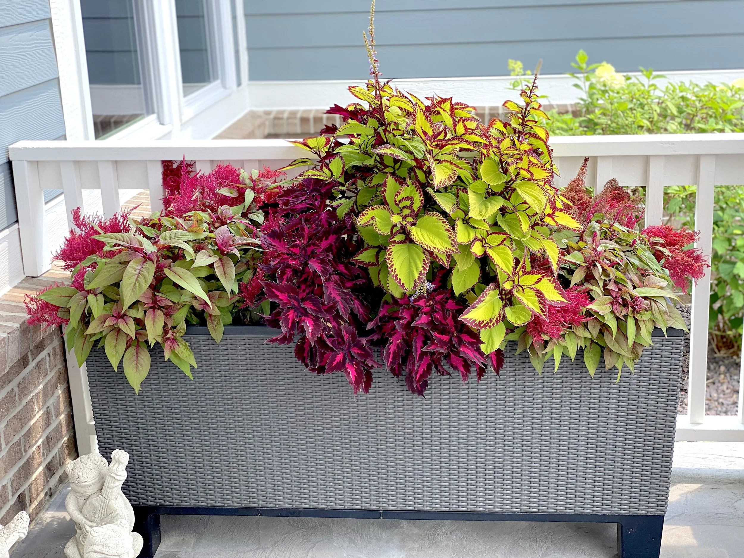 Outdoor Summer Shade Planter.jpeg