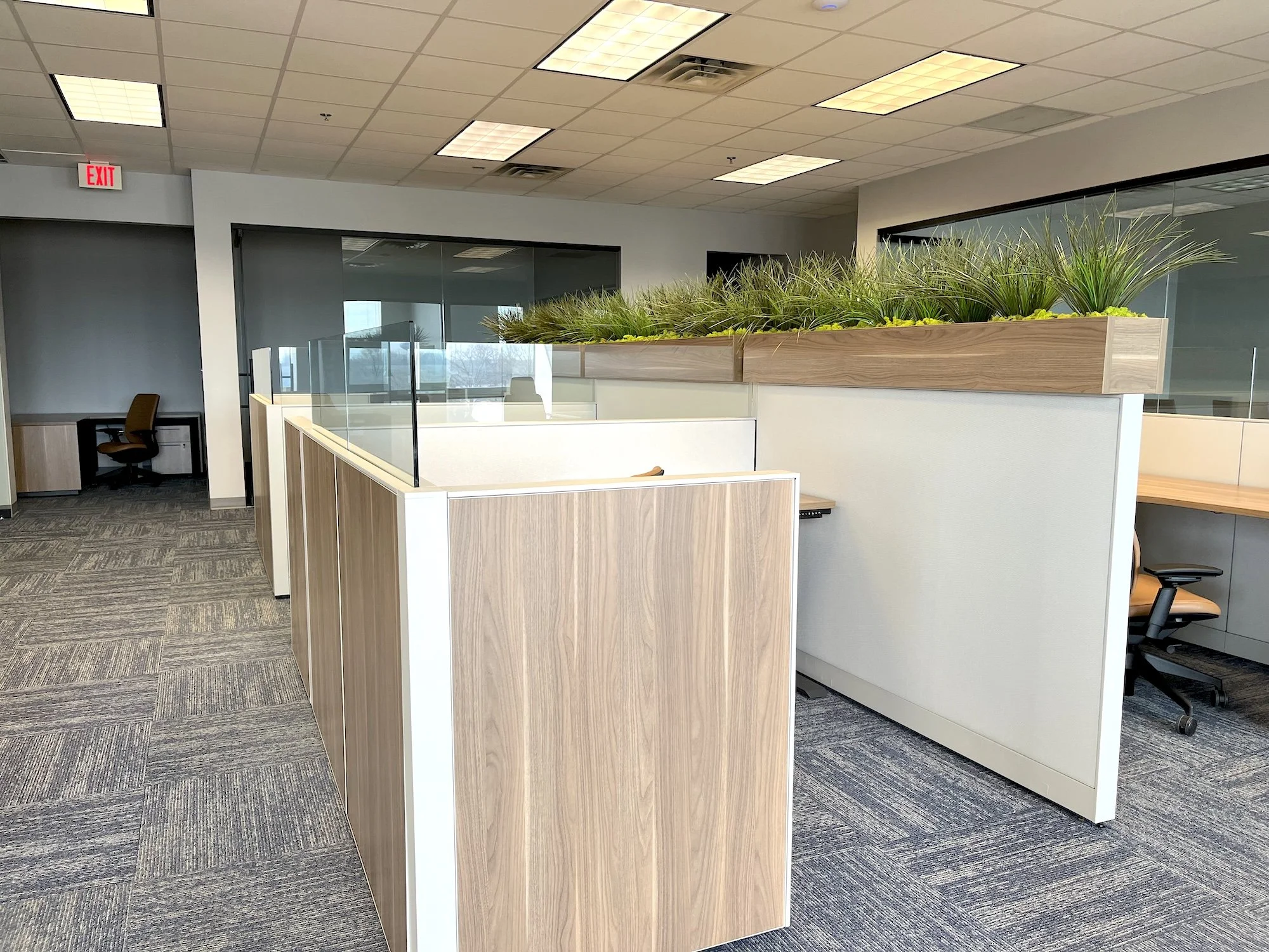 Artificial grass planters installed in the Vaughn & Vaughn office in Carmel, Indiana, featuring sleek rectangular planters placed atop cubicles to divide and define the workspace. These low-maintenance artificial grasses add height, texture, and a mo