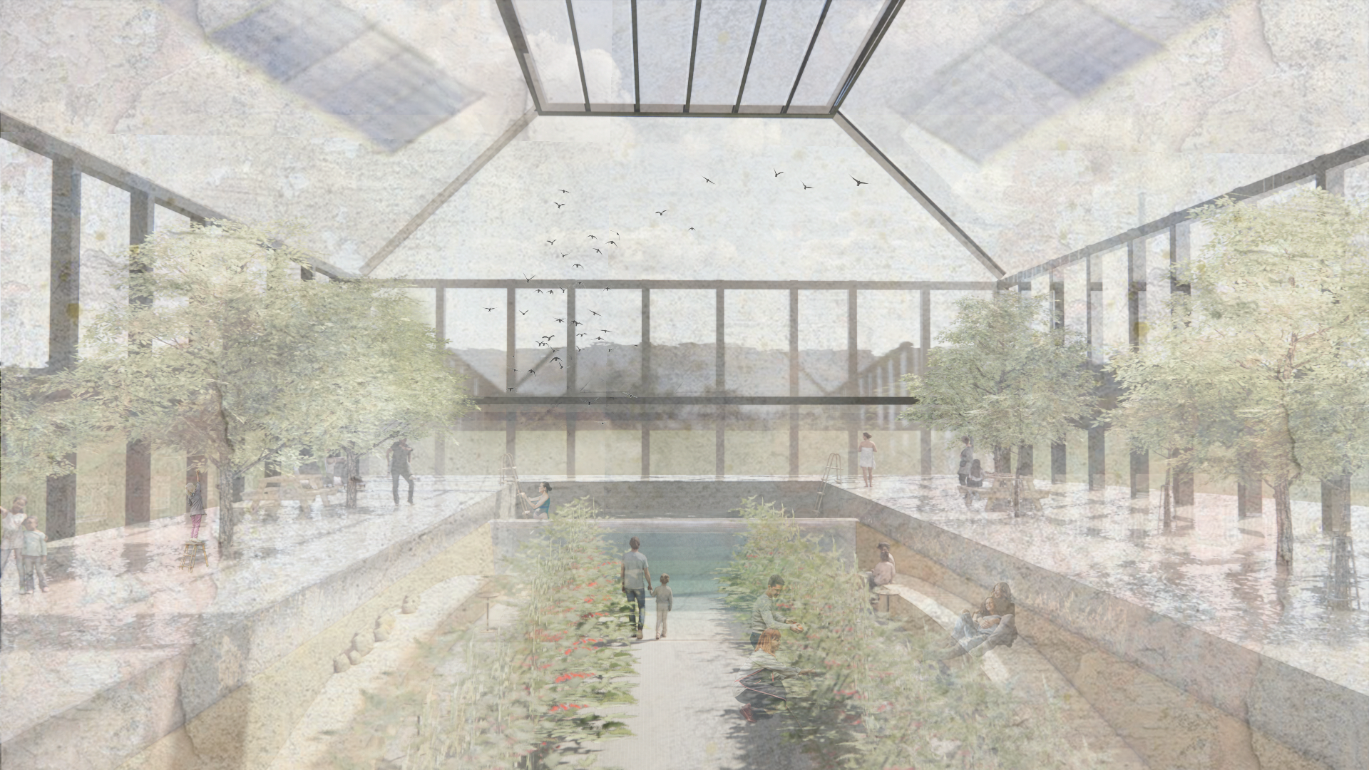 Pool and Greenhouse View .png