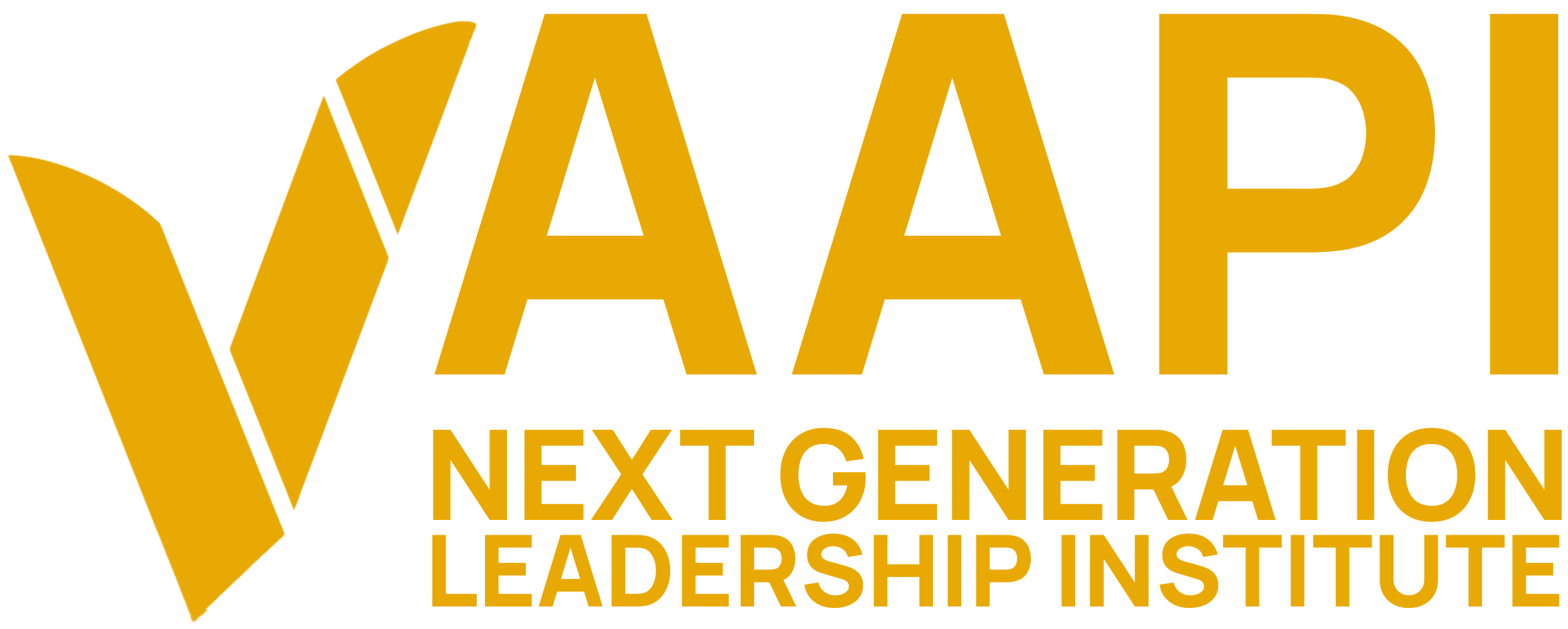 Aaapi AAPI Victory Fund (Copy)