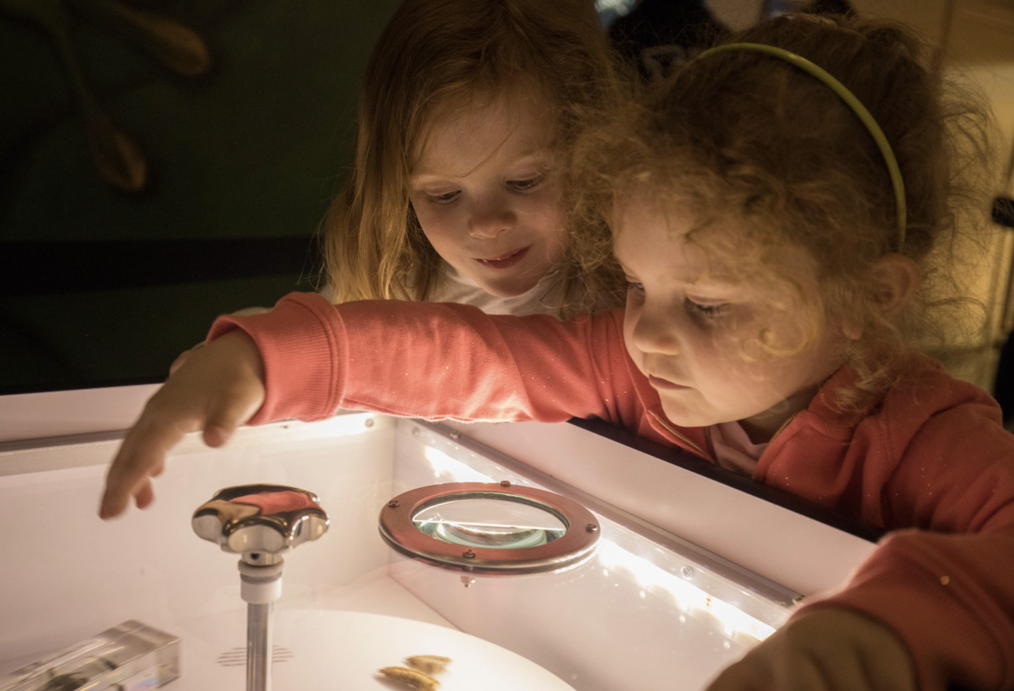 Savarino Co renovated the Amphibian and Reptile House at the Buffalo Zoo.