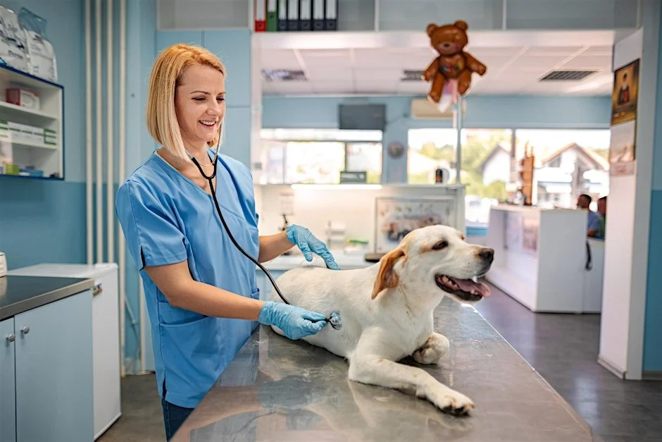 No Stress Vet Visit Seminar