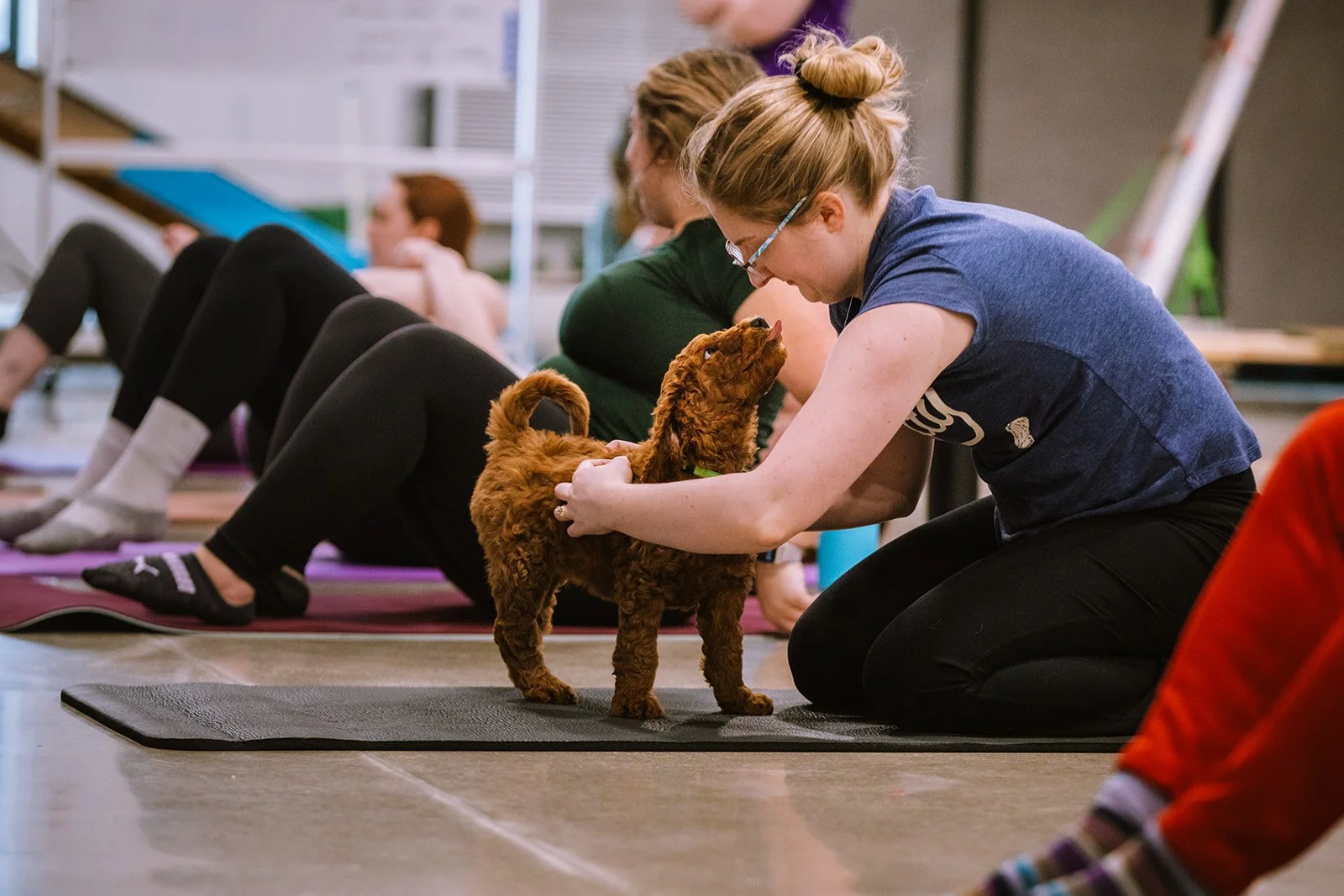 Puppy Yoga