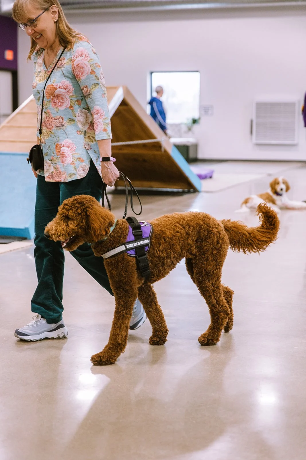 Public Obedience Classes - General Class