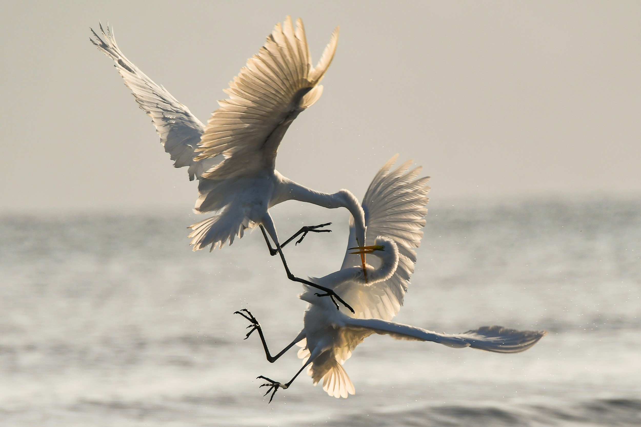 ADHD & Conflict: Why It Feels So Hard