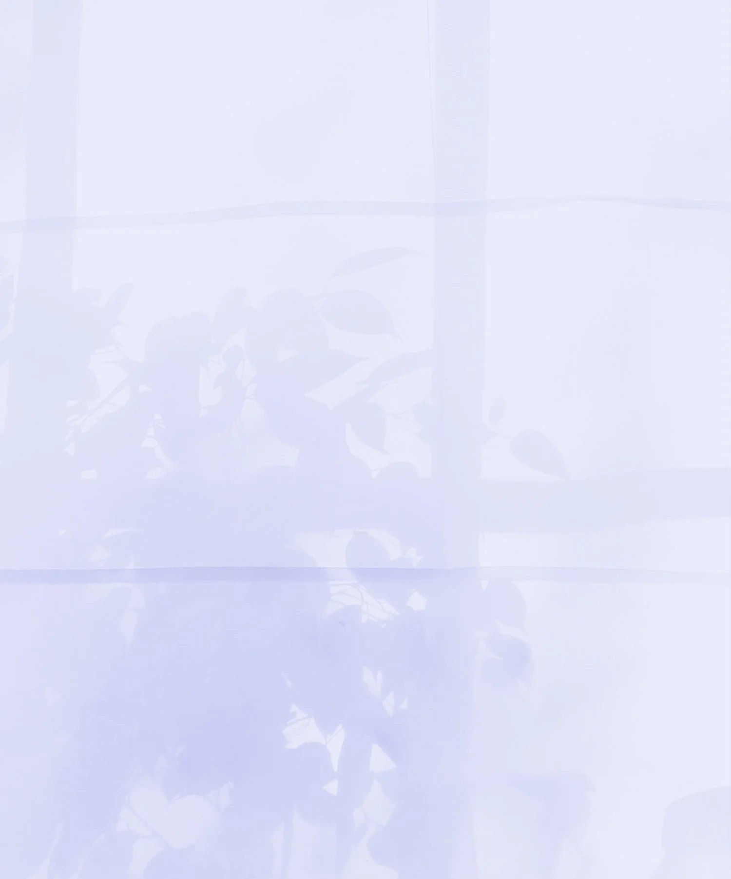 A faint, cloudy view of a potted plant against a white wall.