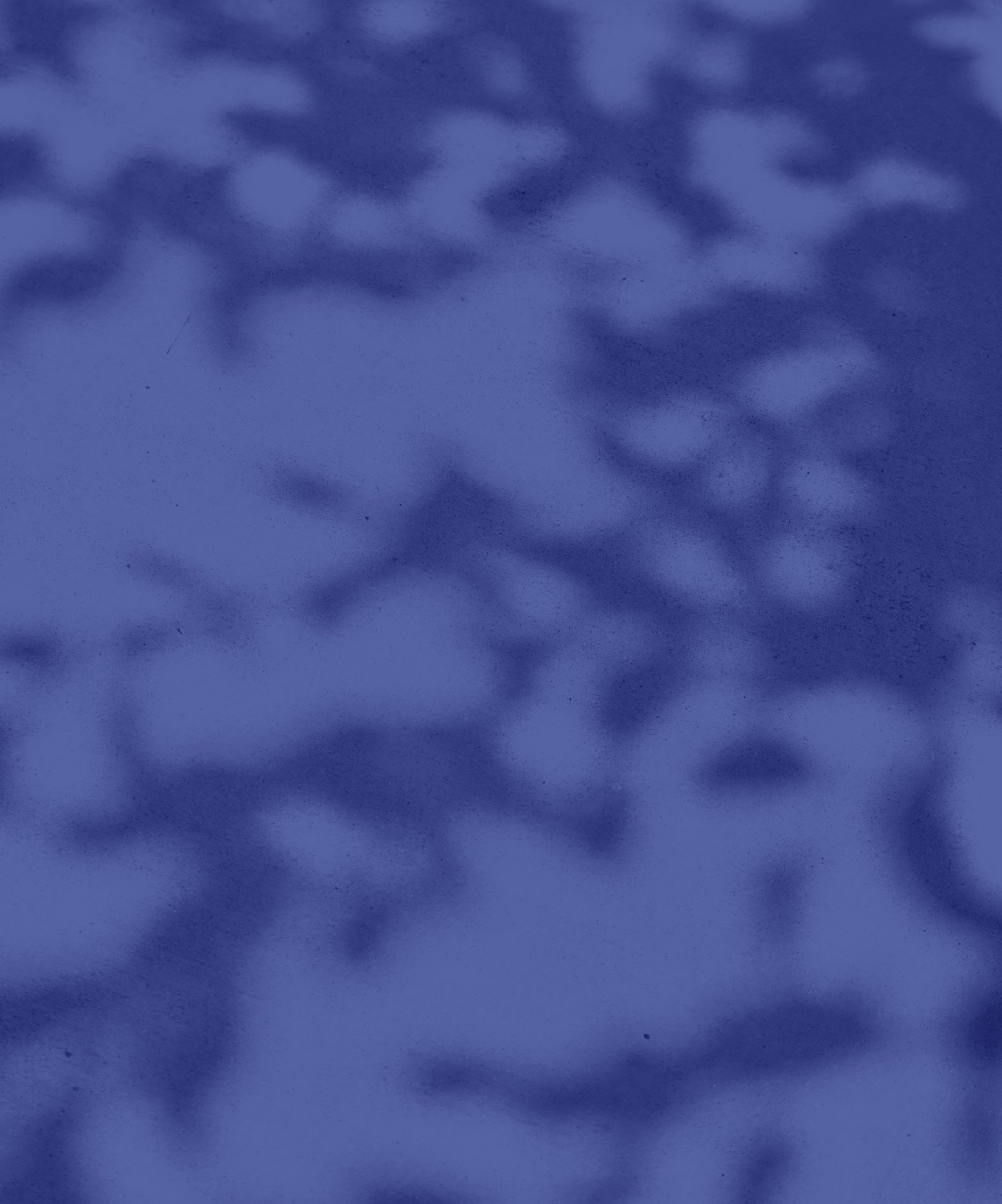 Close-up of a blue surface with darker blue irregular spots or patterns.