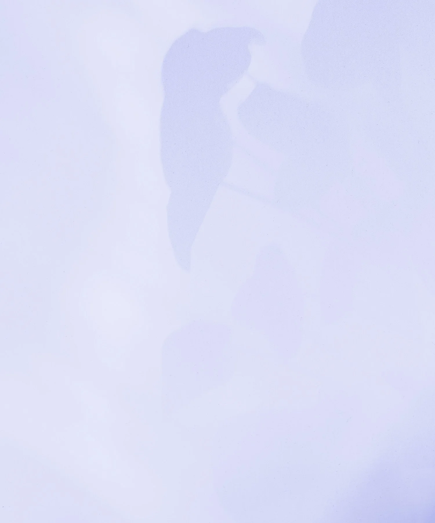 A faint silhouette of a person walking outdoors on a cloudy day.