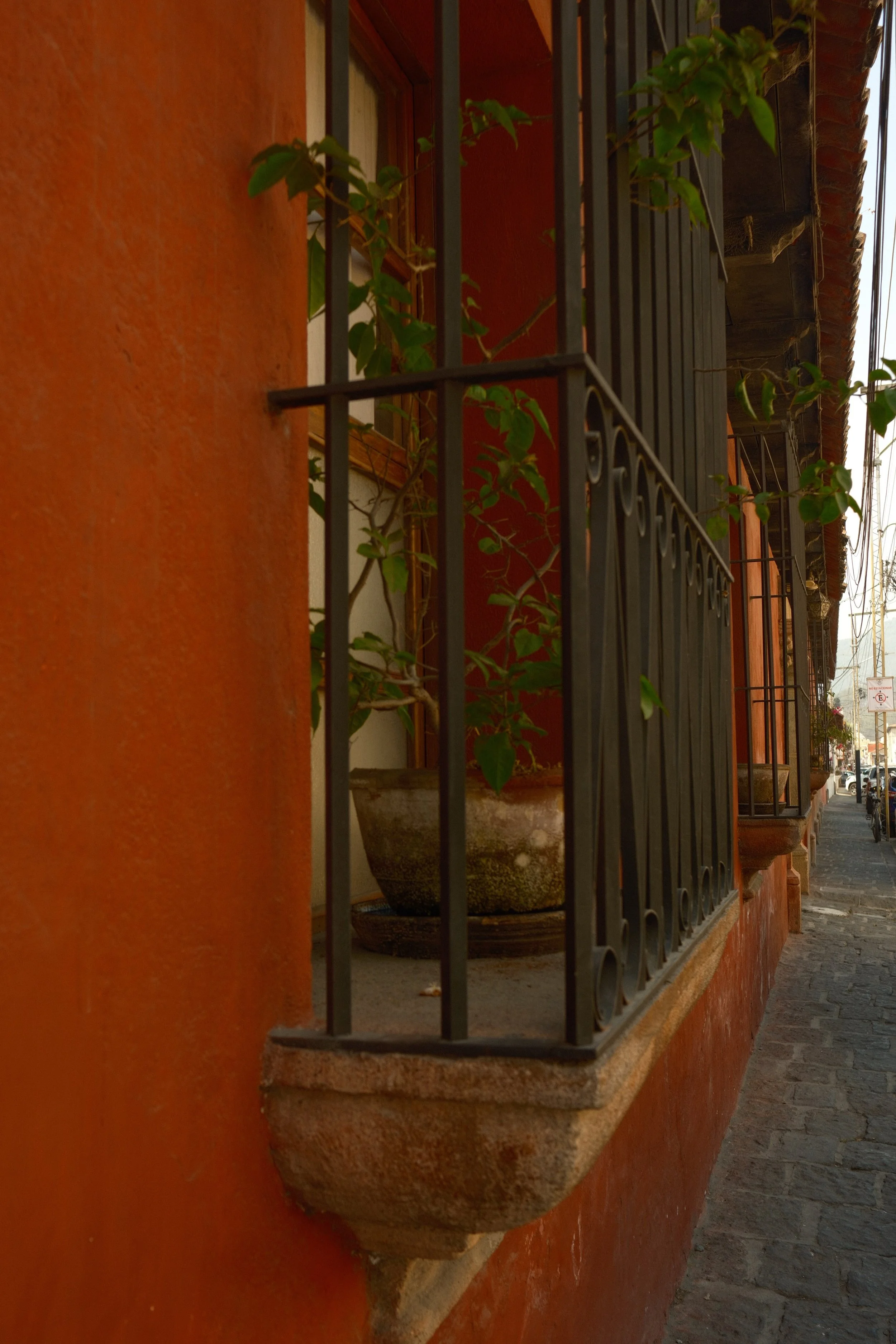 DSCF3881.jpg