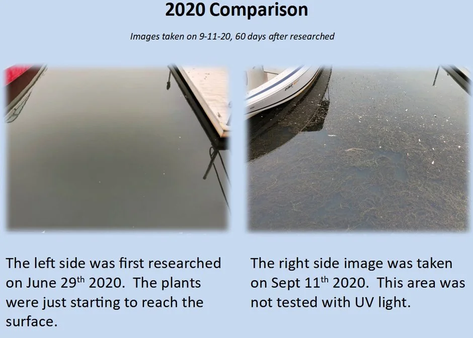 Two side-by-side dock water images with a caption explaining research dates and testing conditions. Left image shows sparse underwater plants as of June 29, 2020. Right image shows thicker underwater growth as of September 11, 2020, not treated with